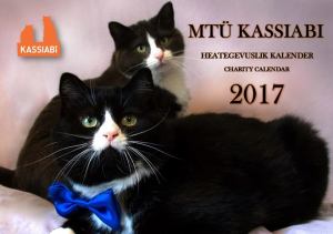 mtu-kassiabi-heategevuskalender